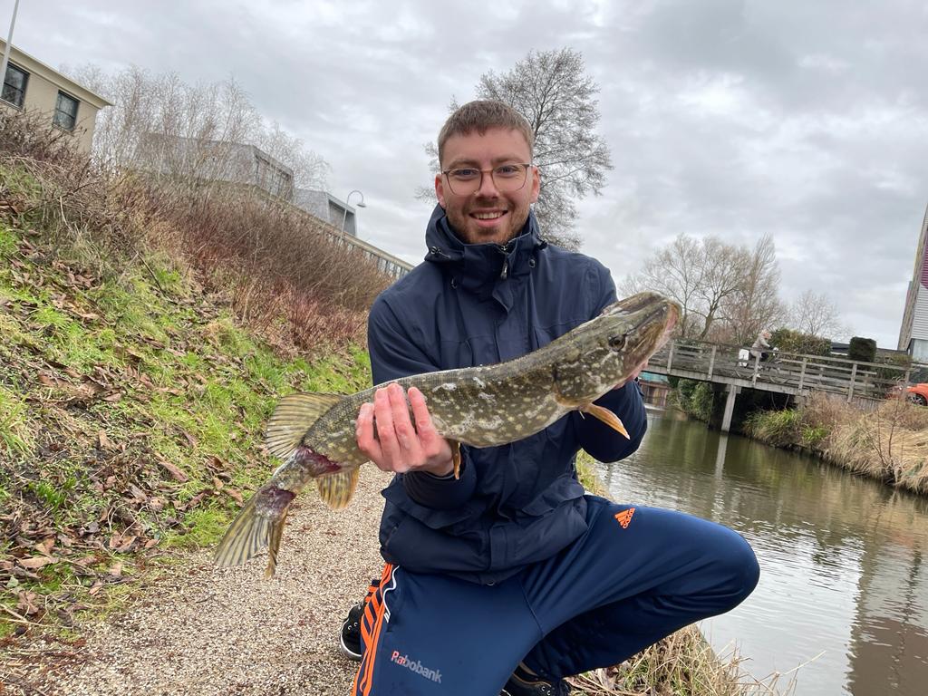 vis-maatje snoek foto
